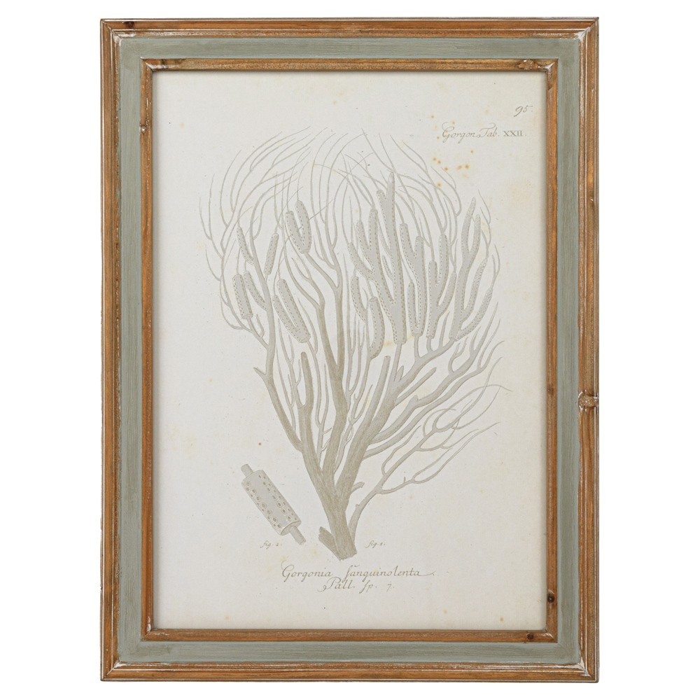 Arlene Costal Beach Grey Coral Brown Wood Frame Illustration - Set of 4|