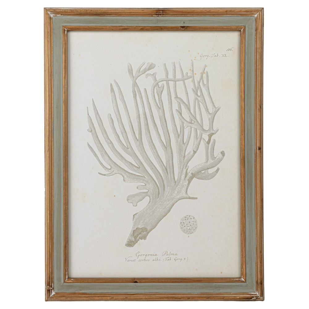 Arlene Costal Beach Grey Coral Brown Wood Frame Illustration - Set of 4|
