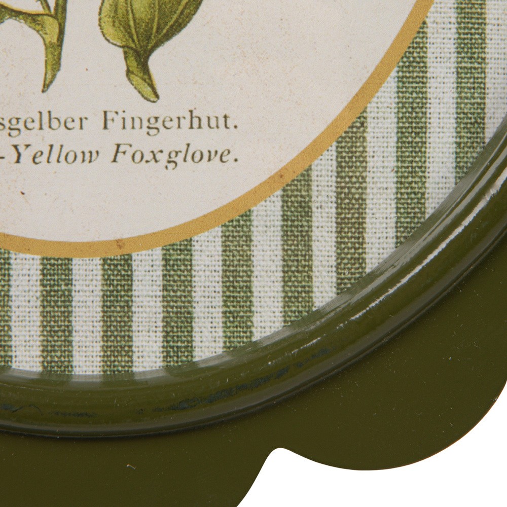 Linara Updated Traditional Yellow Floral Green Frame Illustration - Set of 9|