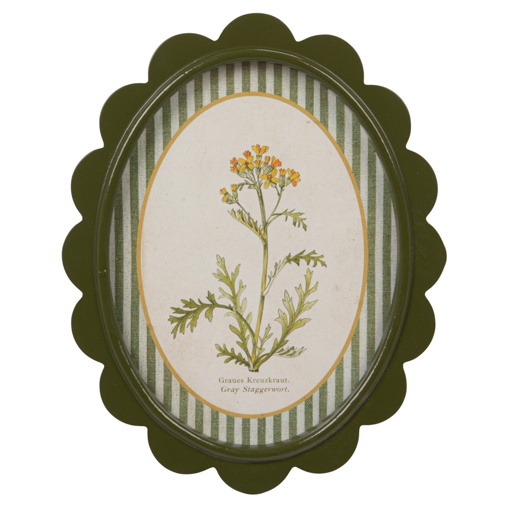 Linara Updated Traditional Yellow Floral Green Frame Illustration - Set of 9|