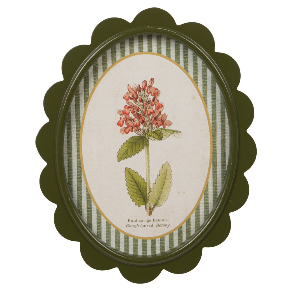 Linara Updated Traditional Yellow Floral Green Frame Illustration - Set of 9|