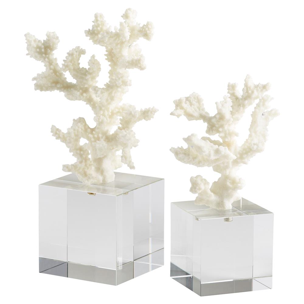 Kailua Coastal Beach White Coral Crystal Cube Sea Sculpture|
