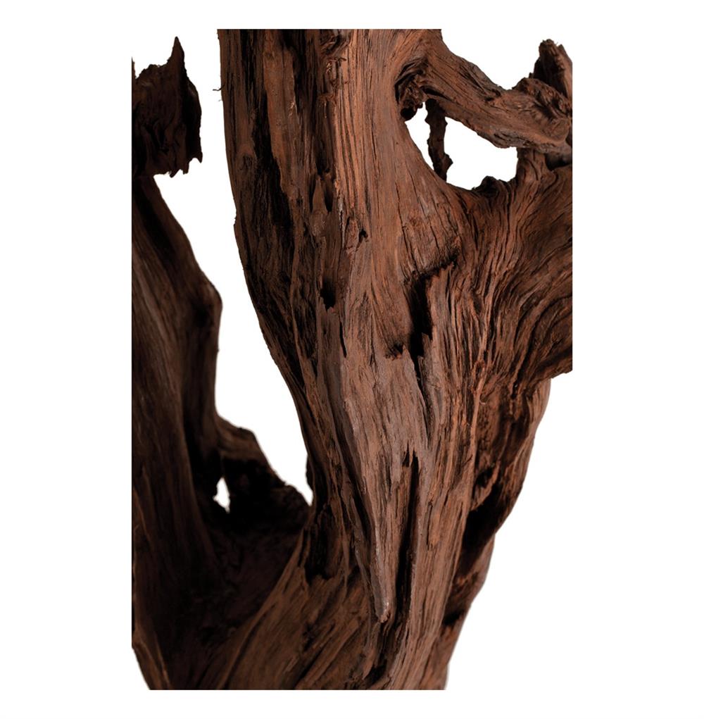 Kazu Root Mangrove Tree Iron Floor Sculpture|