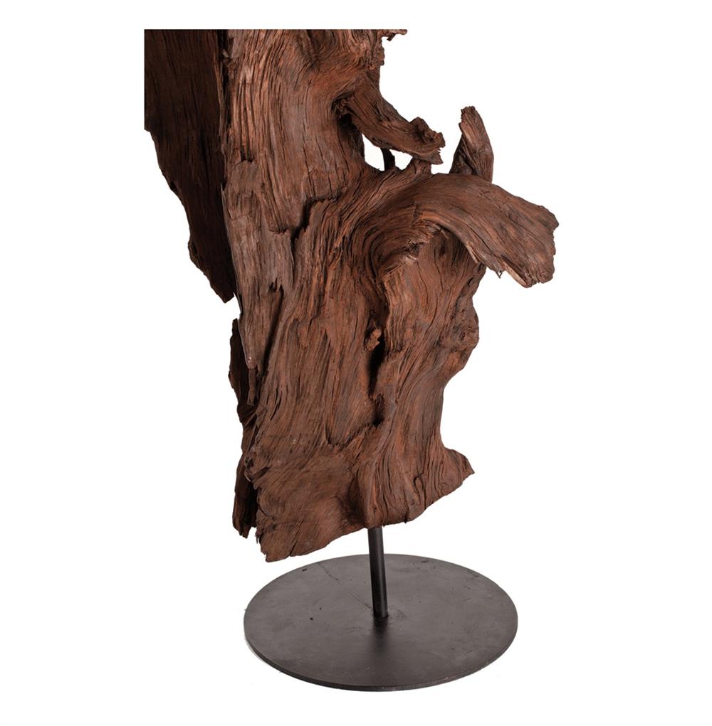 Kazu Root Mangrove Tree Iron Floor Sculpture|