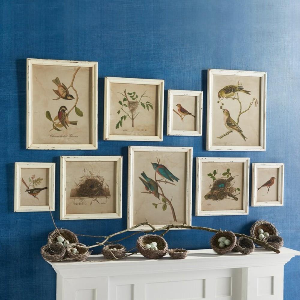 Cielo Bird and Nest Animals & Nature White Frame Illustration - Set of 9|