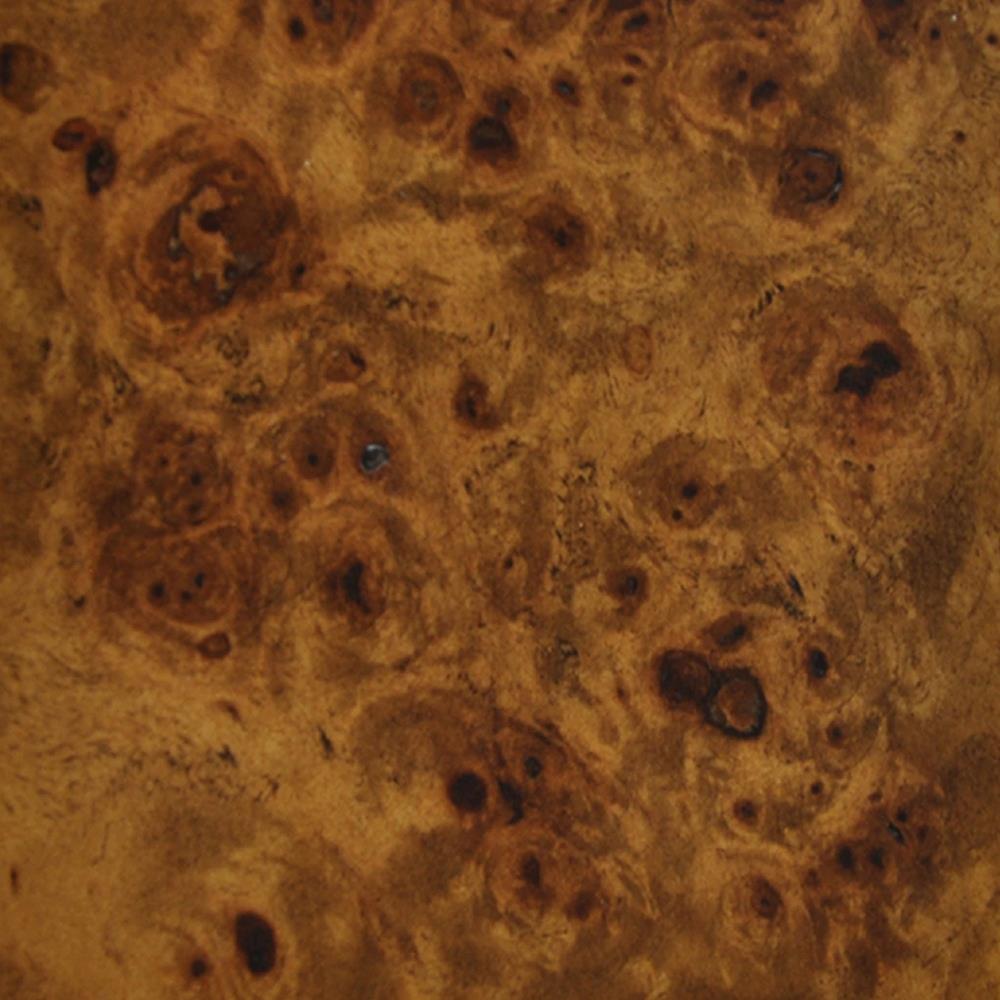 Worlds Away Petra Rustic Brown Burl Woodgrain Clear Acrylic Waterfall Edge Desk|