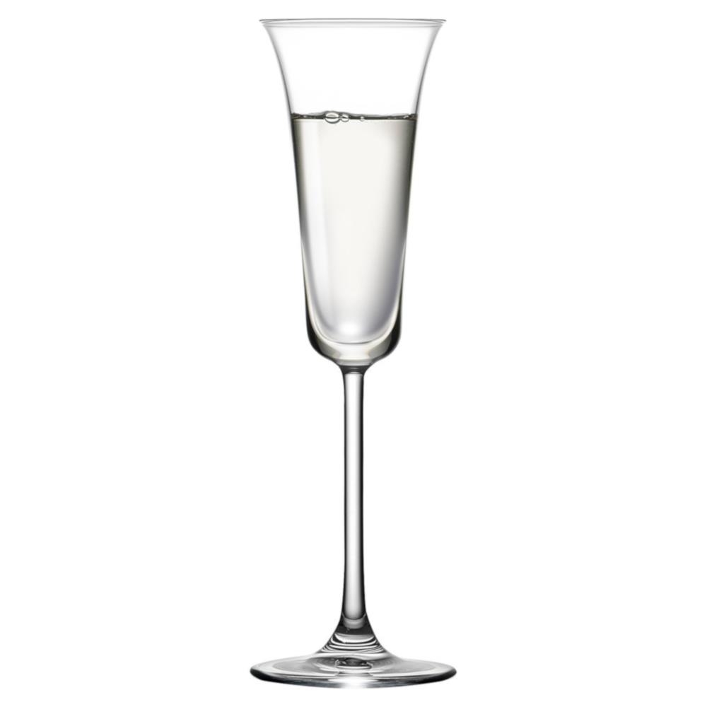 Vintage Modern Classic Clear Crystal Grappa Glass - Set of 2|