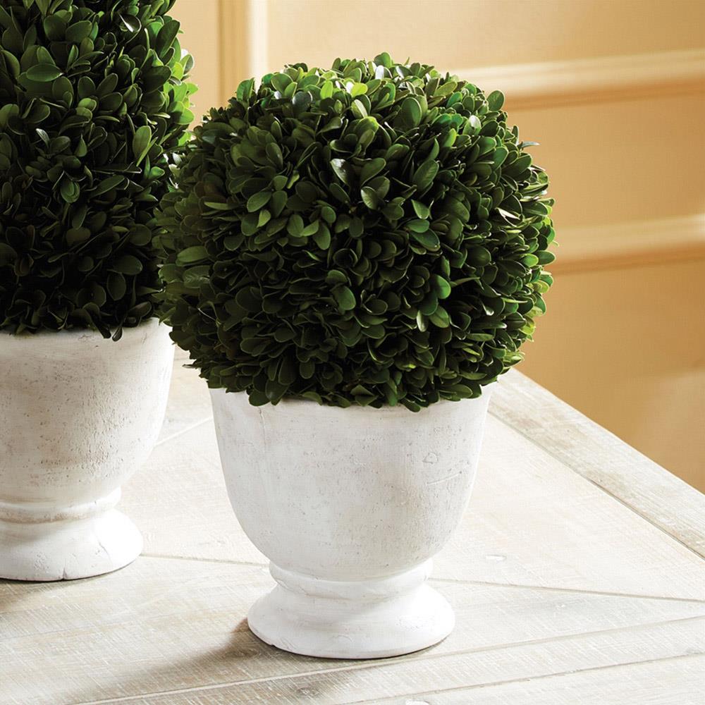 Landon French Country Green Boxwood Ball Potted Topiary - Large|