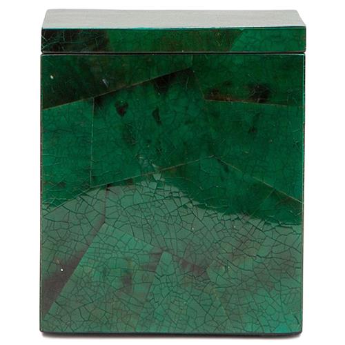 Pigeon and Poodle Palm Beach Coastal Emerald Shell Canister