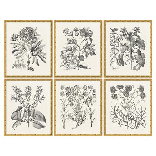 Amanda French Country Black Floral Multipanel Illustration