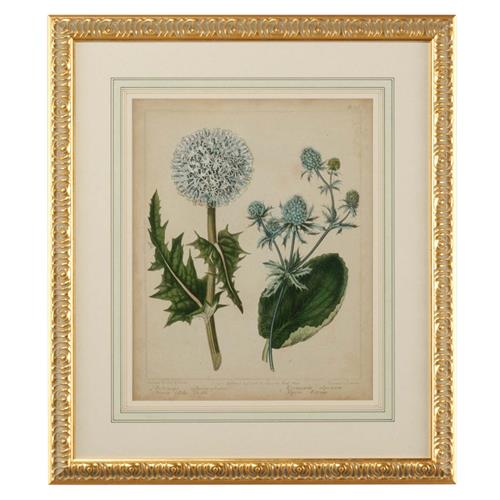 Kiana French Country Cottage Florals III Gold Leaf Frame Illustration