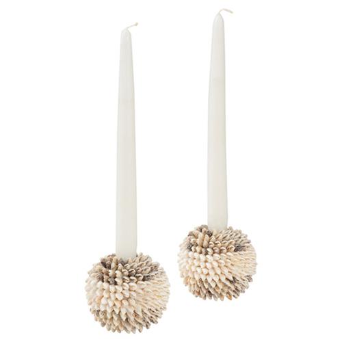 Brienna Coastal Natural Shells Candlestick Candleholder - Set of 2