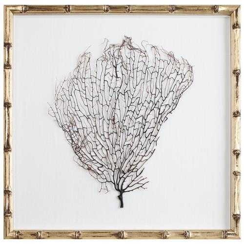 Bandon Coastal Beach Sea Fan Nature Gold Frame Mixed Media