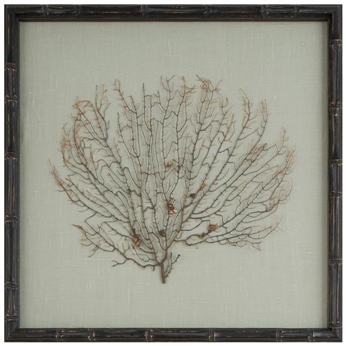 Bandon Coastal Beach Sea Fan Green Linen Nature Brown Frame Mixed Media