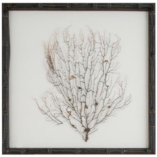 Bandon Coastal Beach Sea Fan White Linen Nature Brown Frame Mixed Media