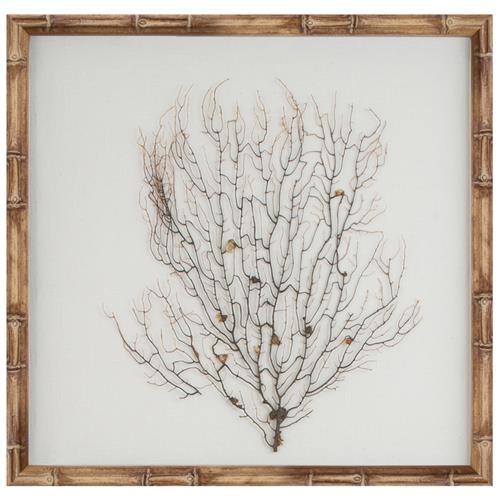 Bandon Coastal Beach Sea Fan Nature Brown Frame Mixed Media - Oyster White