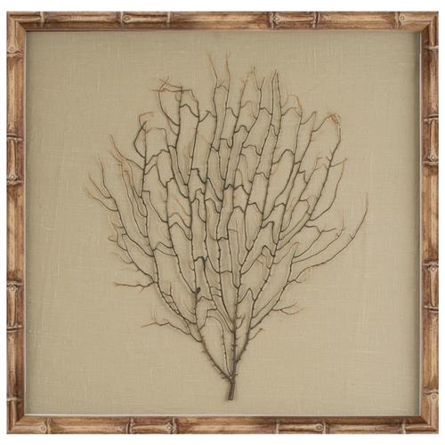 Bandon Coastal Beach Sea Fan Nature Brown Frame Mixed Media - Beige