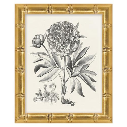 Amanda French Black Floral &amp; Botanical Gold Frame Illustration 1 - 11x9