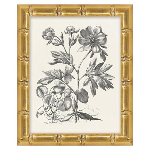 Amanda French Black Floral &amp; Botanical Gold Frame Illustration 2 - 11x9