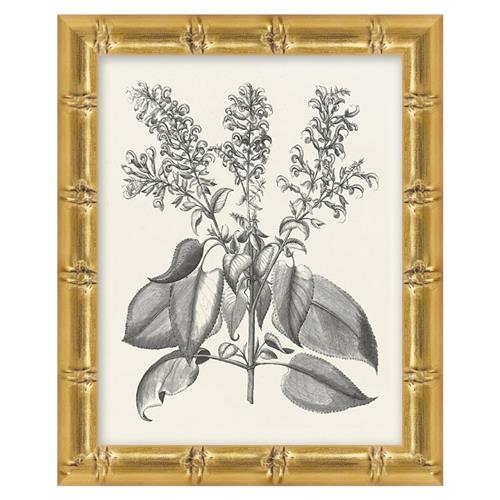 Amanda French Black Floral &amp; Botanical Gold Frame Illustration 5 - 11x9