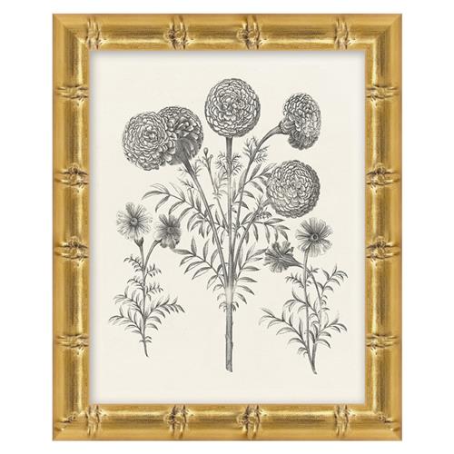 Amanda French Black Floral &amp; Botanical Gold Frame Illustration 6 - 11x9