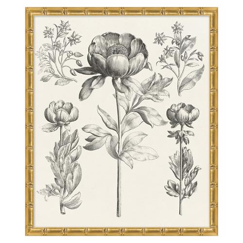Amanda French Black Floral &amp; Botanical Gold Frame Illustration 3 - 26x22