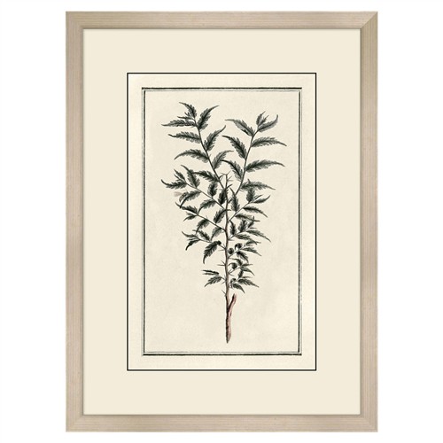 Gael Traditional Green Botanical Silver Frame Illustration 1 - 39x29