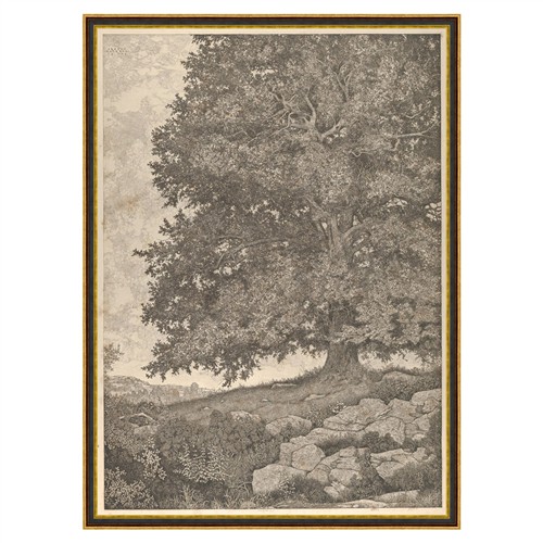 Raphael Updated Traditional Grey Landscape Black Frame Illustration - 53x39