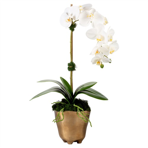 Ariela  Updated Traditional White Orchid Gold Vase Faux Floral Arrangement