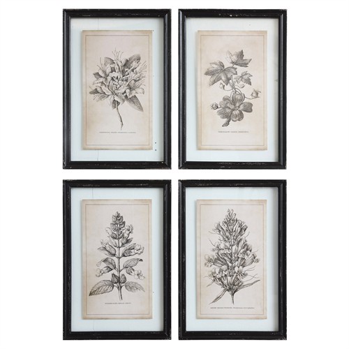 Cressida Traditional Grey Floral Black Frame Multipanel Illustration - 23x16
