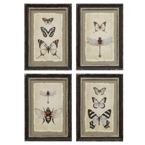 Seraphina Traditional Beige Insect Brown Frame Multipanel Illustration - 14x10