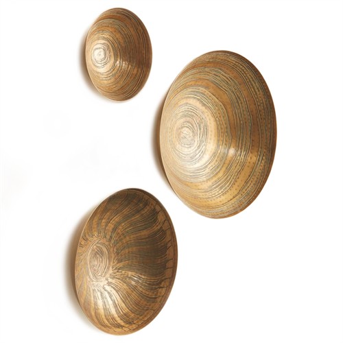 Cordelia Updated Traditional Antique Brass Bowl Wall Decor - Set of 3