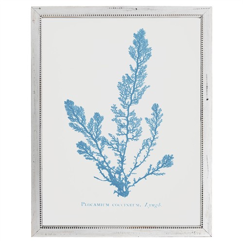 Finn Coastal Beach Blue Coral White Frame Illustration - 20x16