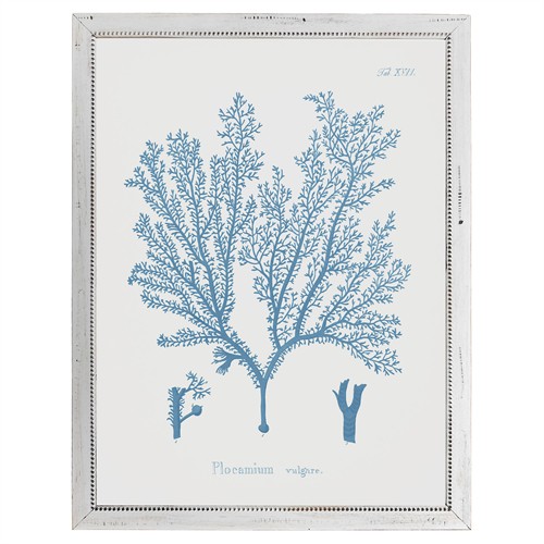 Gale Coastal Beach Blue Coral White Frame Illustration - 20x16