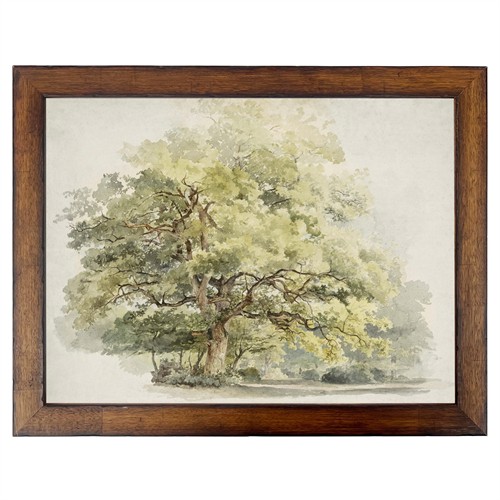 Lyra Traditional Green Tree Landscape Brown Walnut Frame Painting - 8x10