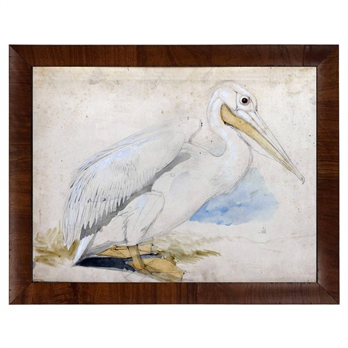 Soren Traditional White Pelican Brown Walnut Burl Frame Painting - 8x10