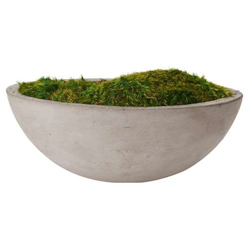 Caelan Updated Traditional Green Preserved Mood Moss