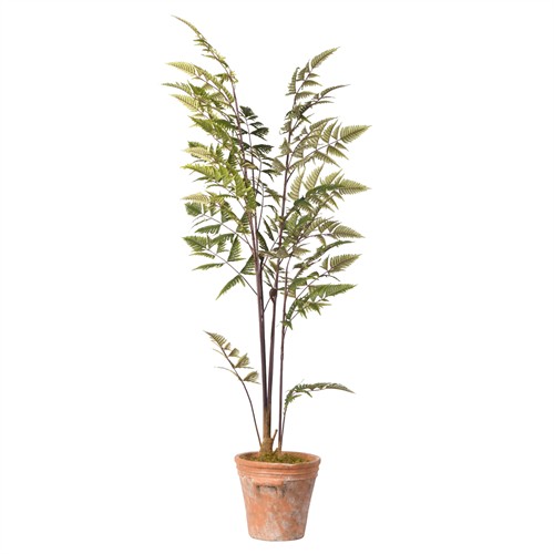 Keaton Updated Traditional Green Faux Leather Fern Planter