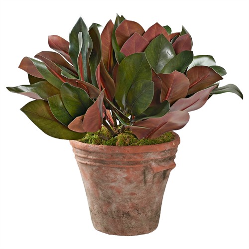 Dorian Updated Traditional Green Faux Magnolia Leaf Planter