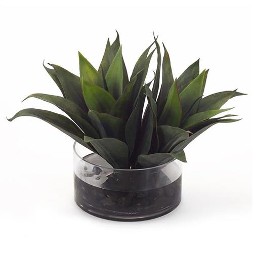 John-Richard Modern Classic Aqua Agave