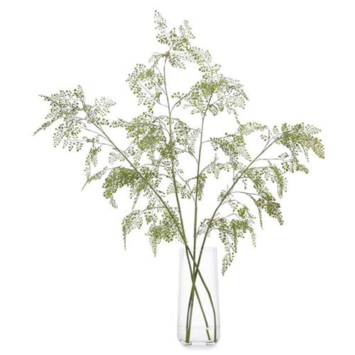 John-Richard Modern Classic Aqua Fern