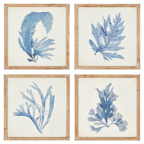 Nyla Coastal Beach Brown Floral &amp; Botanical Natural Frame Painting