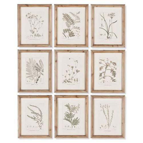 Ling French Country Brown Floral &amp; Botanical Natural Frame Illustration