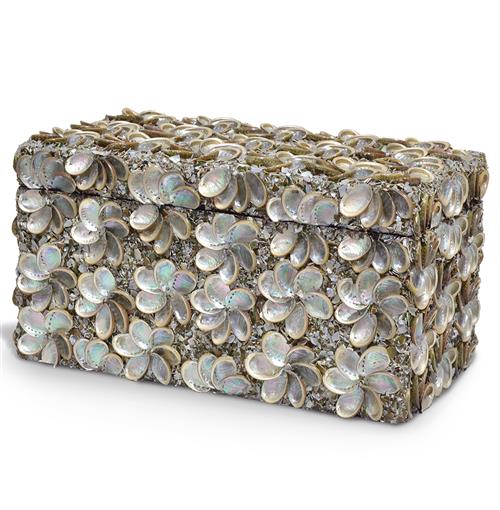 Palecek Abalone Shell Coastal Beach Abalone Shell Box