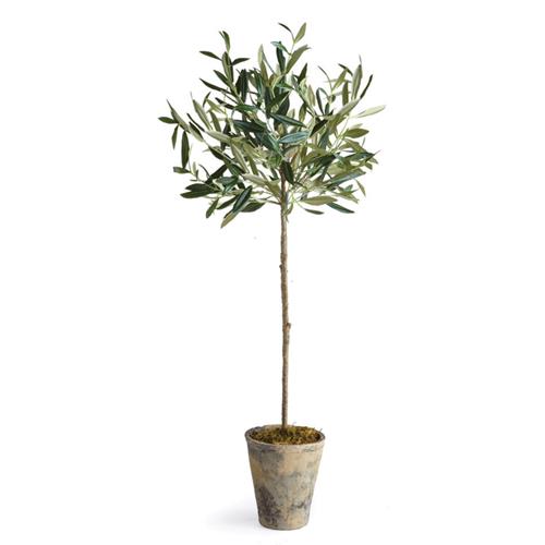 Ryan French Country Beige Ceramic Potted Olive Tree - Small