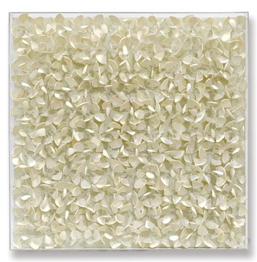 Palecek Coastal Adrift Off White Coco Wood Nature Acrylic Frame Mixed Media