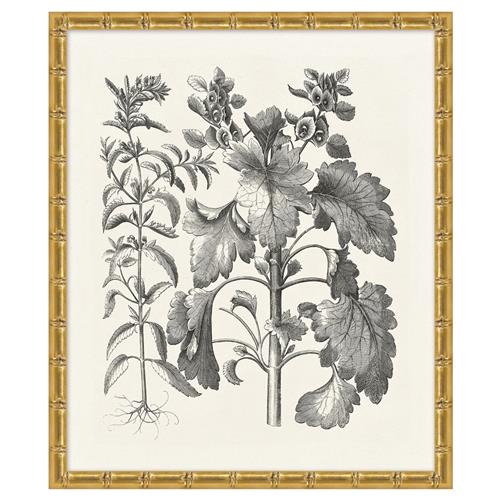 Amanda French Country Black Floral &amp; Botanical Gold Frame Illustration 9
