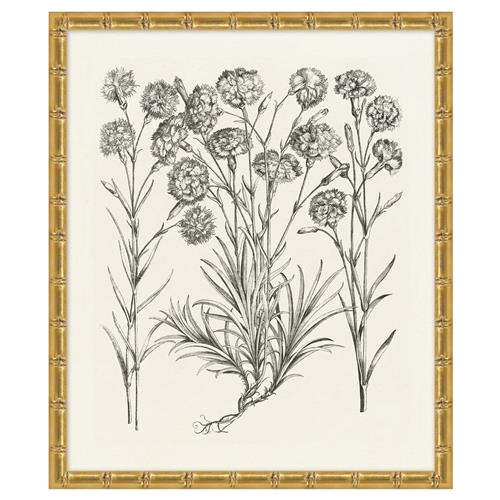 Amanda French Country Black Floral &amp; Botanical Gold Frame Illustration 13