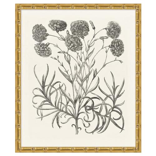Amanda French Country Black Floral &amp; Botanical Gold Frame Illustration 14