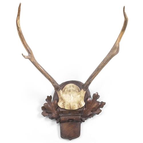 Xyla Rustic Lodge Natural Brown Deer Antlers Wall Sculpture